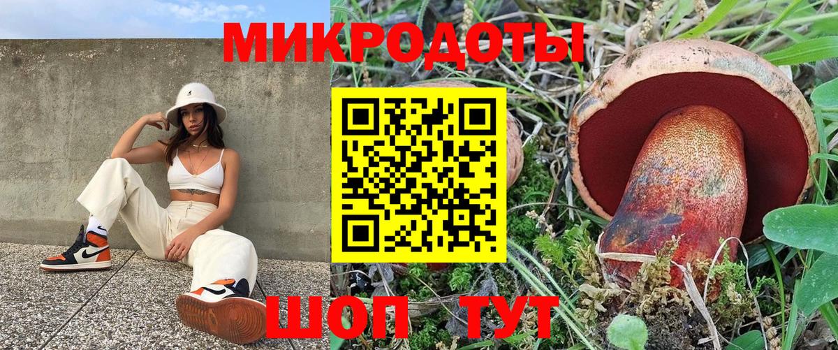 Галлюциногенные грибы Psilocybe  Вход с VPN  Псилоцибиновые грибы Magic Shrooms  Хасавюрт 