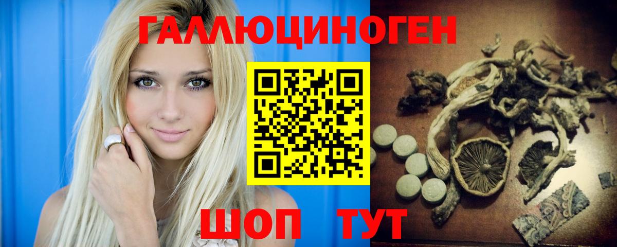 Галлюциногенные грибы Psilocybe Хасавюрт